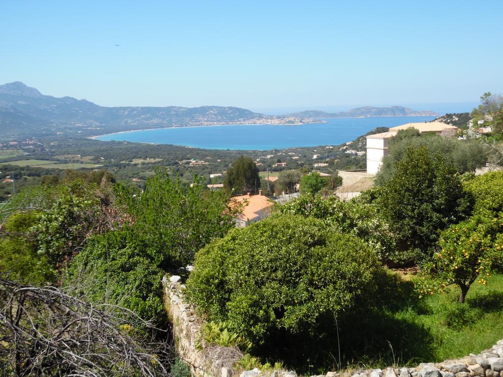 Studio Du Commandant Marche Calvi  Exterior photo